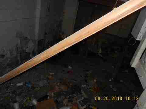 18889 Cardoni (15)_m.jpg